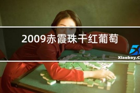 2009赤霞珠干红葡萄酒价格750ml